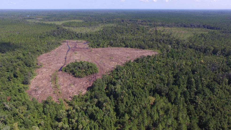 394 County Rd, Interlachen, FL for sale - Primary Photo - Image 1 of 1