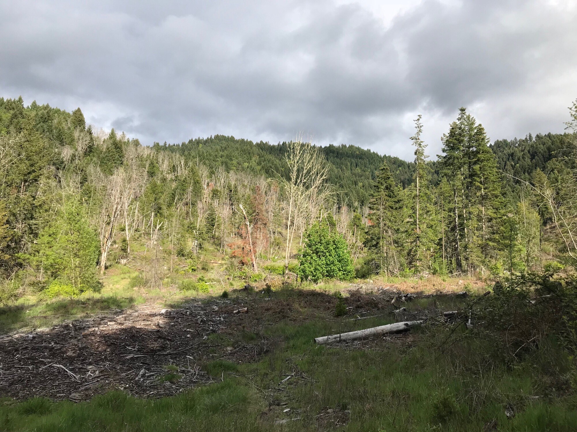 Stumbo Rd, Glendale, OR for sale Other- Image 1 of 1