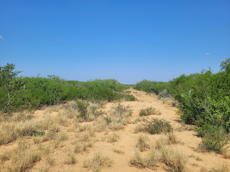 Land in Laredo, TX for sale - Other - Image 2 of 29