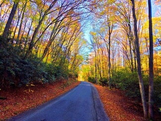 More details for 0 Old Pluto Rd, Shady Spring, WV - Land for Sale