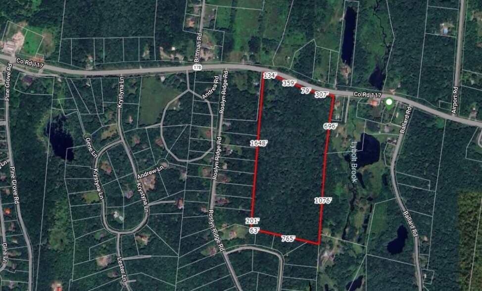 1195 State Route 17B, Bethel, NY for sale - Plat Map - Image 3 of 30