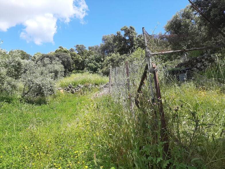 Land in Santa Ana for sale - Building Photo - Image 2 of 23