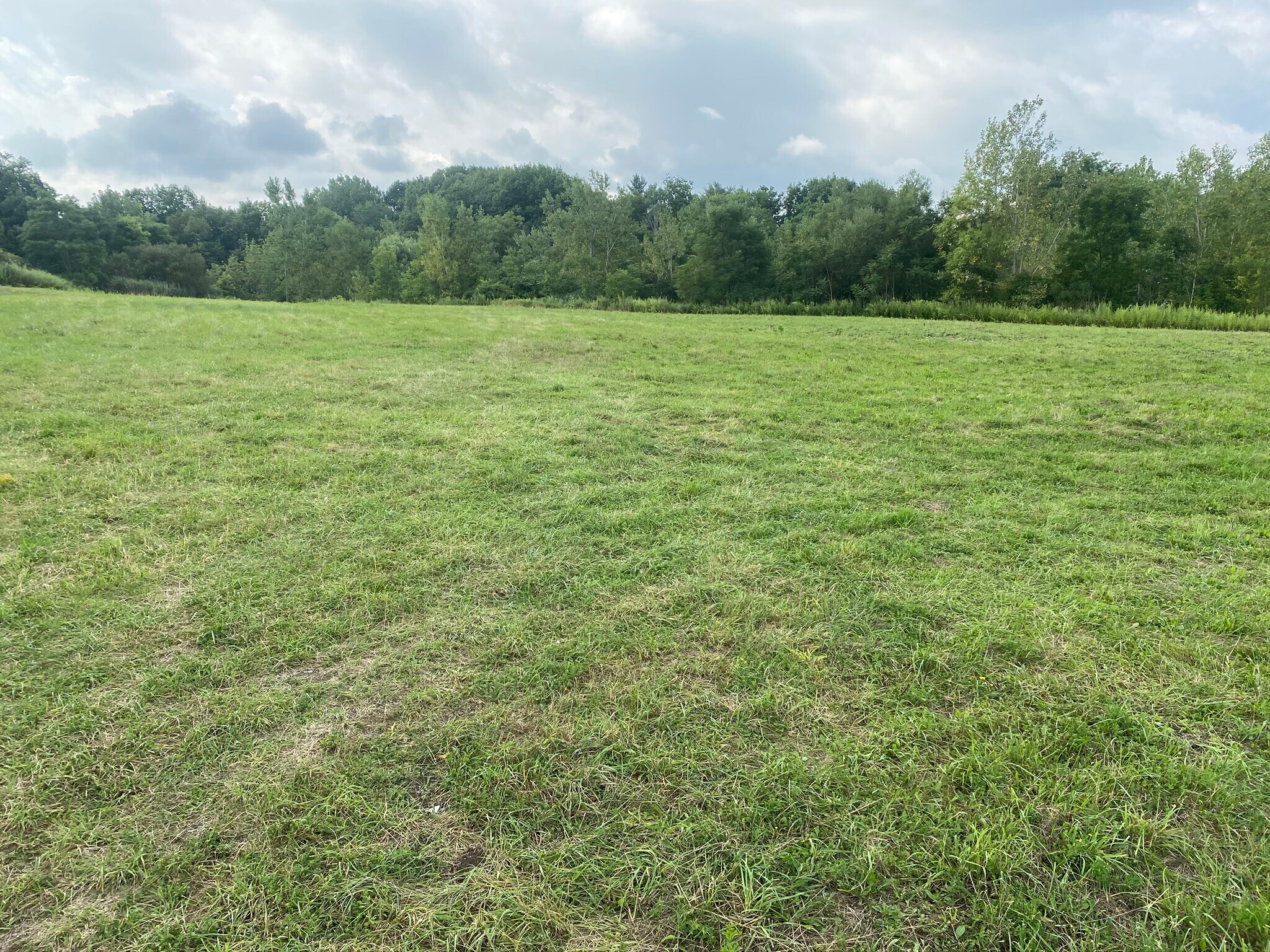 3538 California Rd, Orchard Park, NY for sale Primary Photo- Image 1 of 1