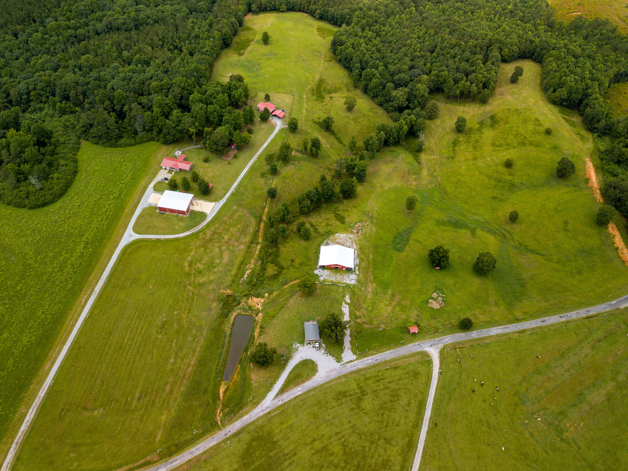 3262 County Road 6, Hackleburg, AL for sale Primary Photo- Image 1 of 145