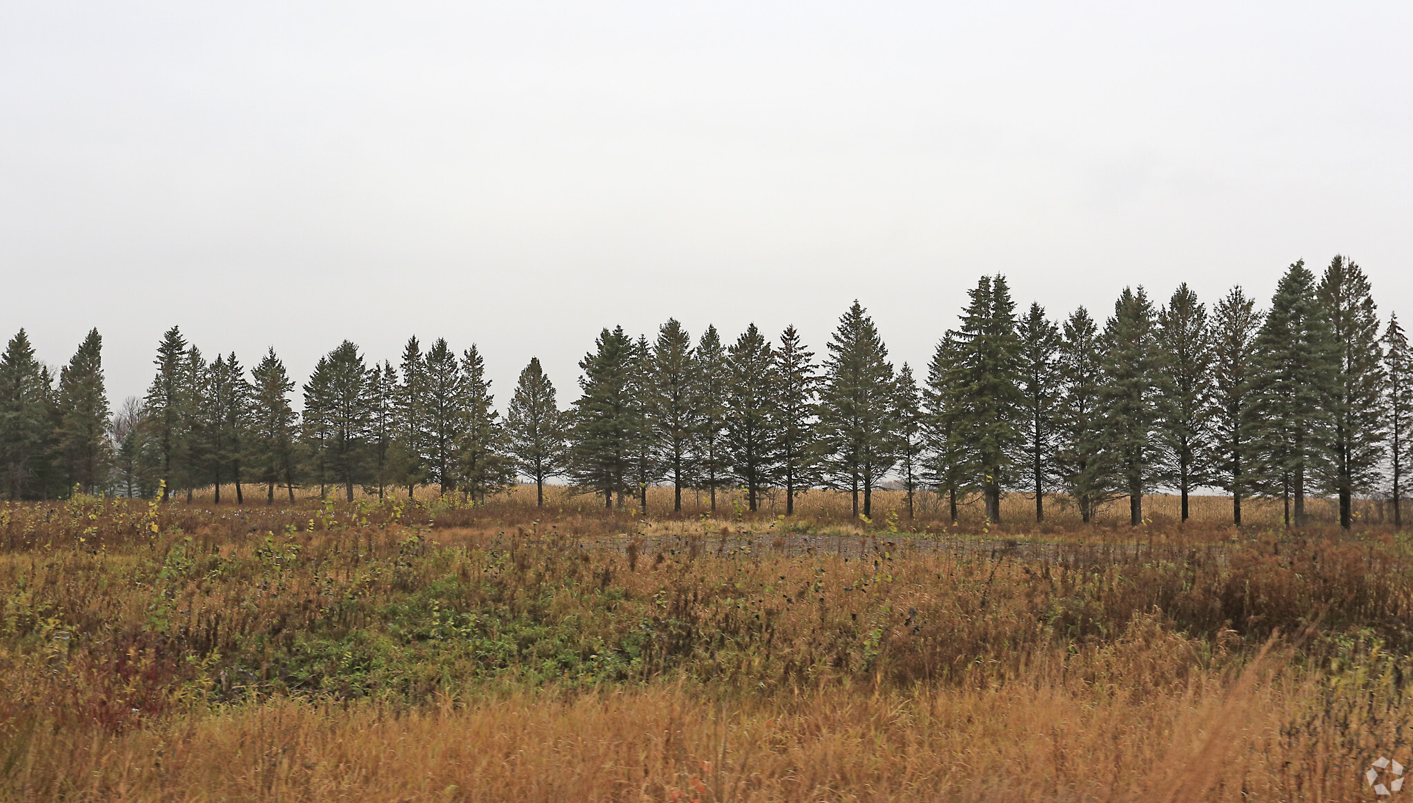 Hwy 25, Foley, MN for sale Building Photo- Image 1 of 4