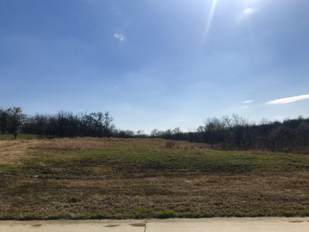 3123 Koscher Dr, Cedar Hill, TX for sale Other- Image 1 of 1