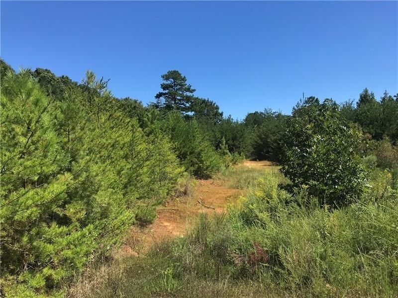 0 Center Rd, Cartersville, GA 30121