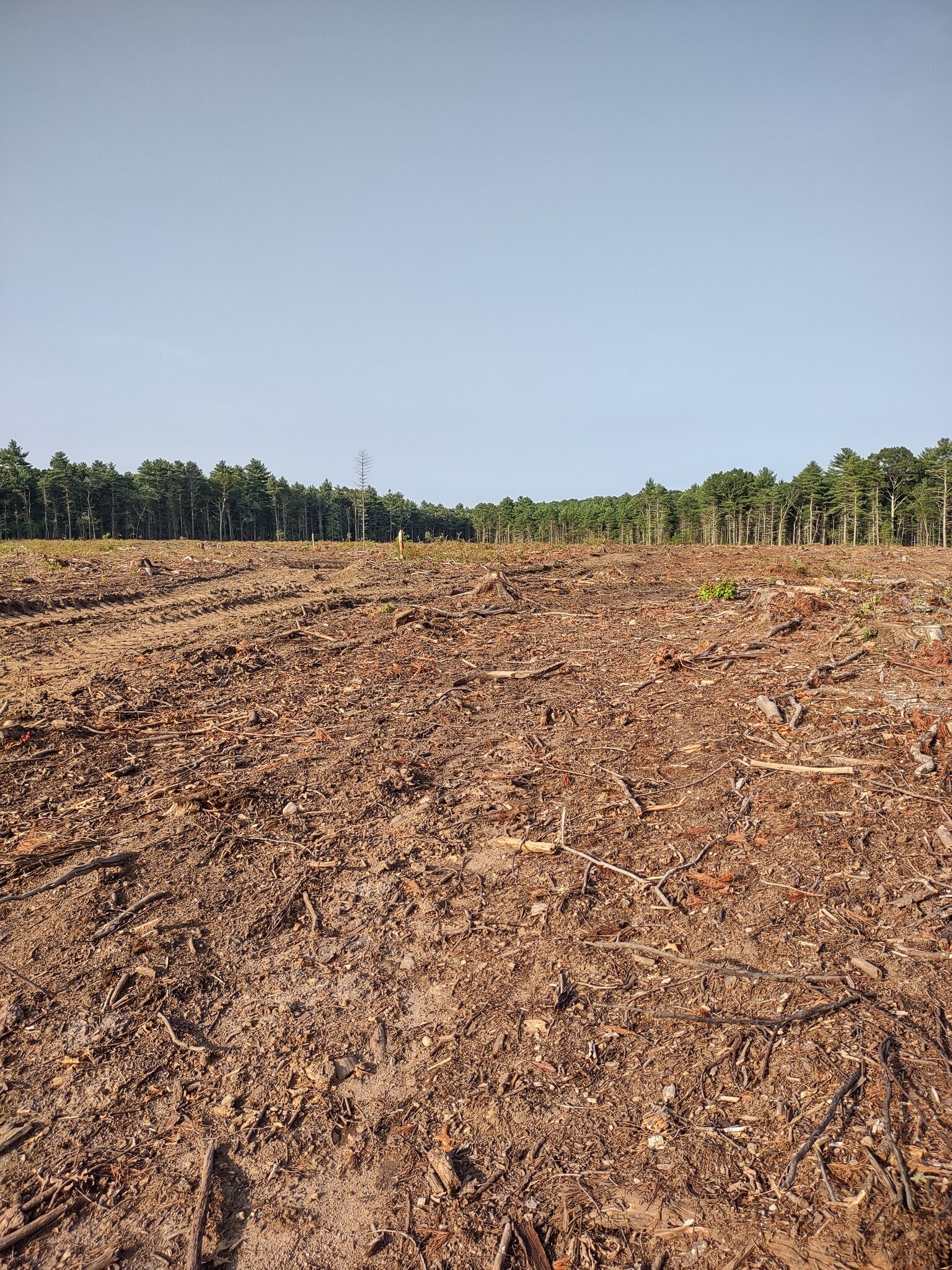 333 Pendleton Hill Road, Voluntown, CT for sale Building Photo- Image 1 of 1