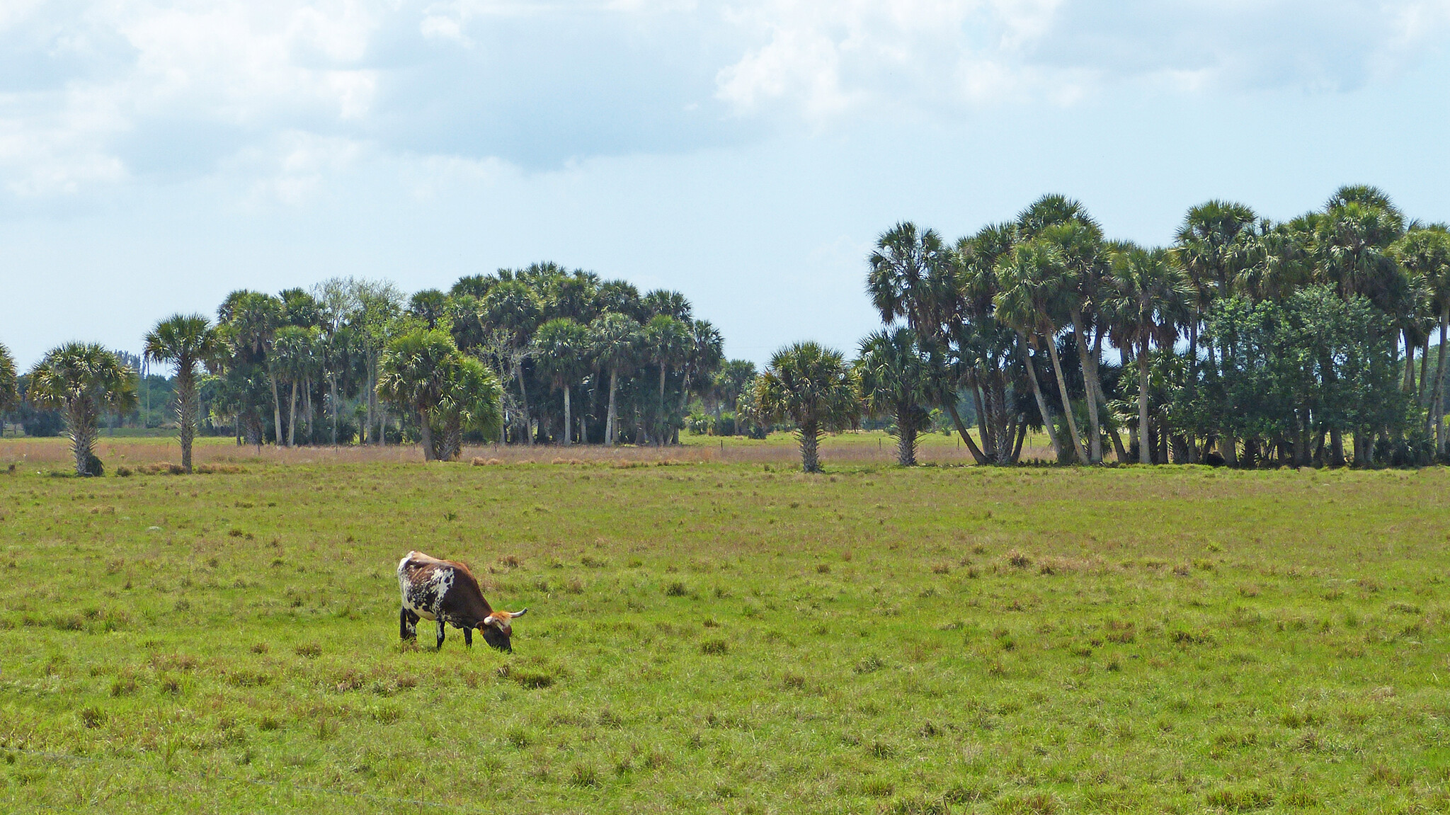 8590 Carlton Rd, Port Saint Lucie, FL for sale Other- Image 1 of 1