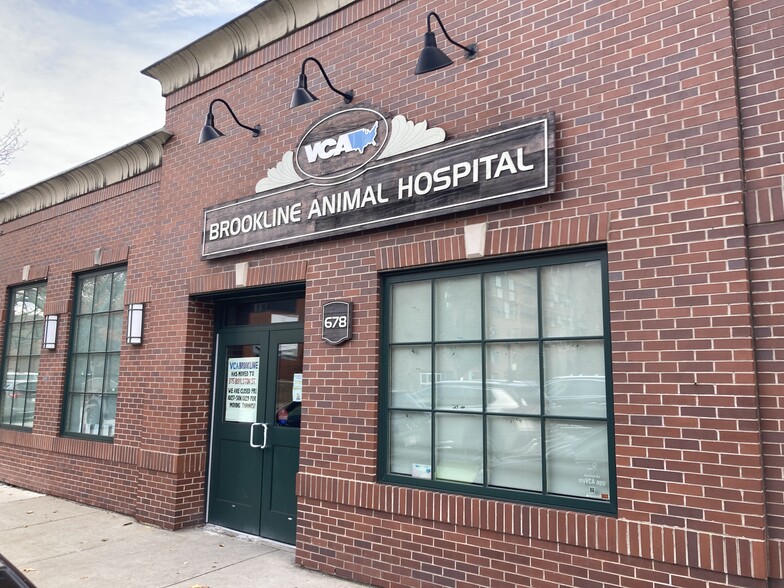 Vca airport hot sale animal hospital