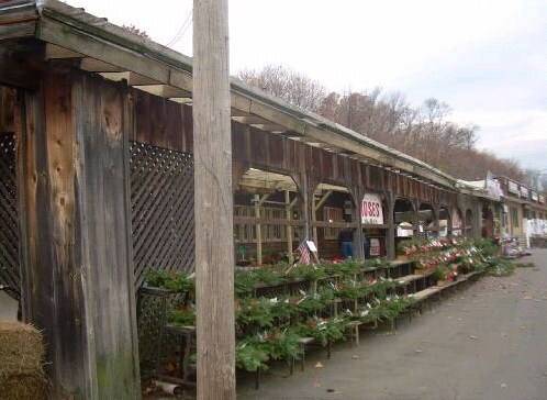 408-420 Forest Rd, West Haven, CT for sale Primary Photo- Image 1 of 1