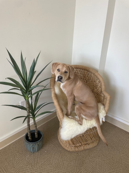 201 N Front St, Wilmington, NC for lease - Other - Image 3 of 29