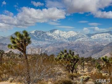 0 Melton Joshua Tree, Joshua Tree, CA for sale - Building Photo - Image 2 of 14