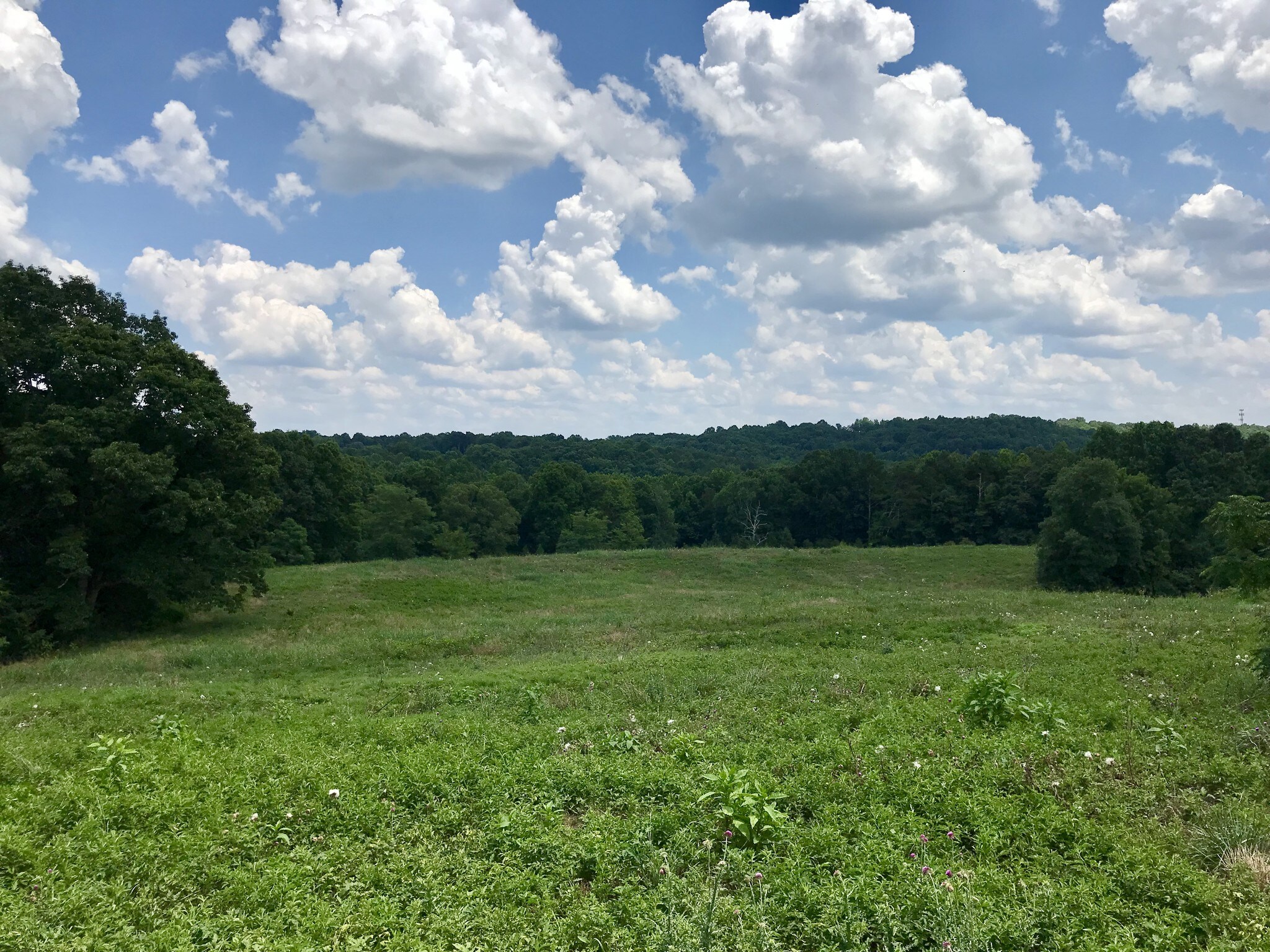 2932 Athens Hwy, Gainesville, GA for sale Primary Photo- Image 1 of 1