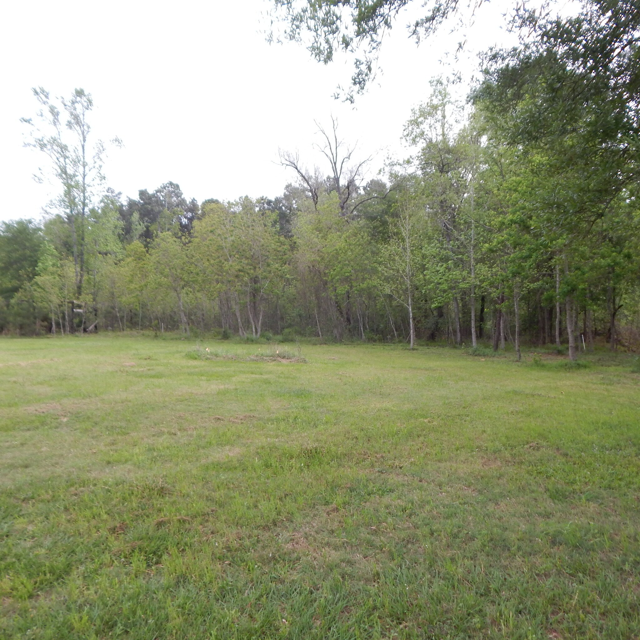 20783 FM 1314, Porter, TX for sale Other- Image 1 of 1