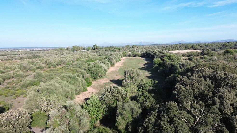 Land in Muro, Islas Baleares for sale - Aerial - Image 2 of 14