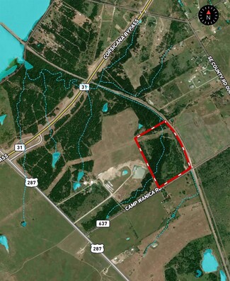 More details for TBD 115.0072 Acres US 287 hwy, Corsicana, TX - Land for Sale