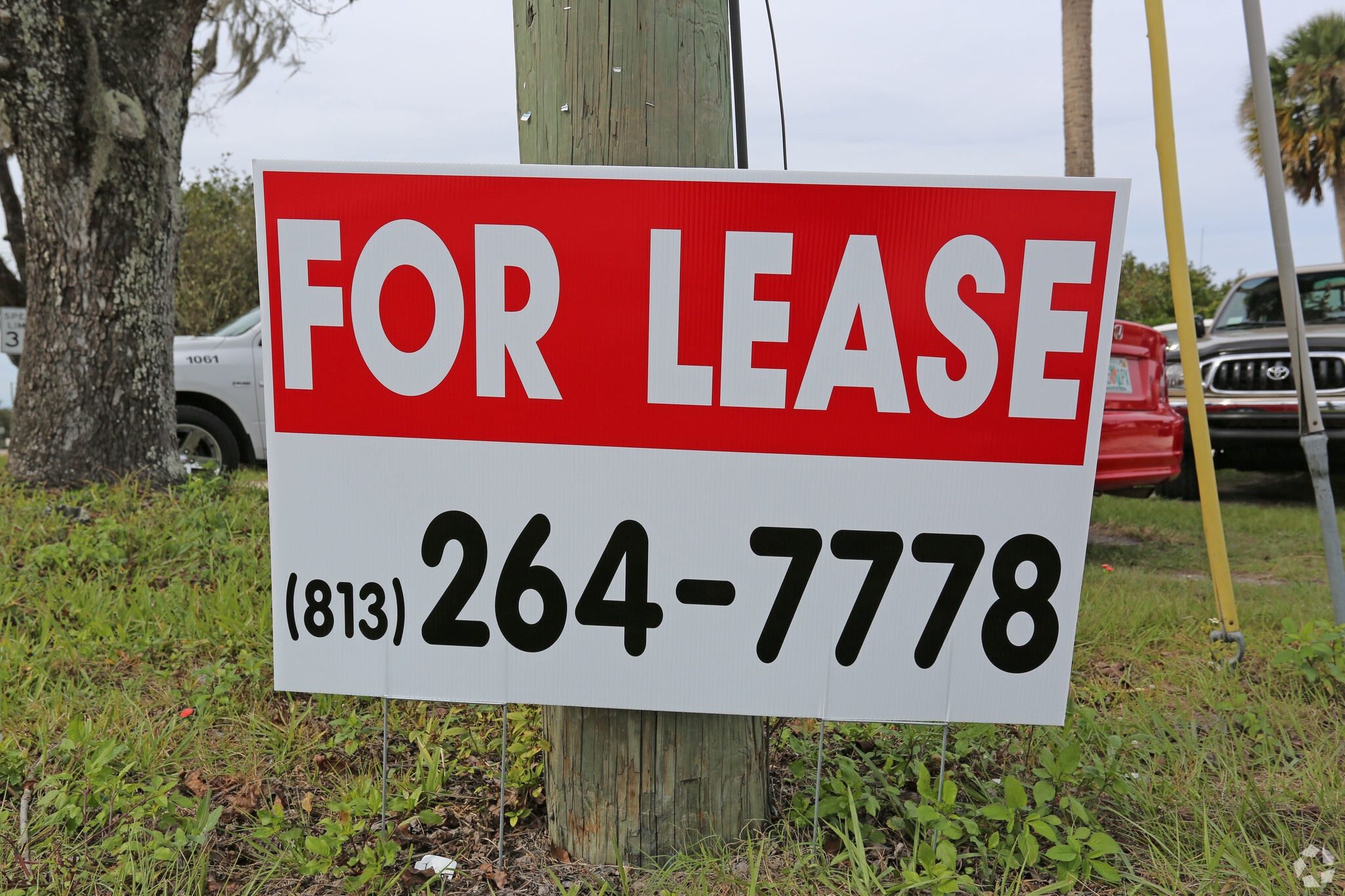 21405 County Line Rd, Lutz, FL for lease Building Photo- Image 1 of 2