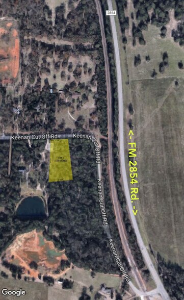 18453 Keenan Cut Off Rd, Montgomery, TX for sale - Other - Image 1 of 1