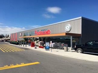 More details for 249 St Catharines St, Smithville, ON - Retail for Lease