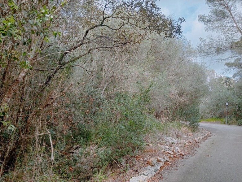 Land in Santanyí, Islas Baleares for sale - Building Photo - Image 3 of 7