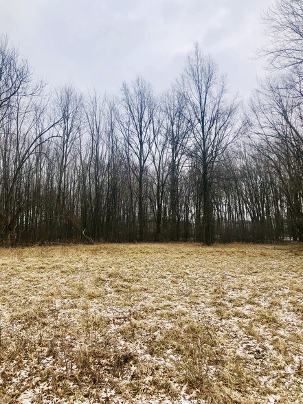 6989 Stearns Rd, Olmsted Falls, OH for sale - Building Photo - Image 1 of 1