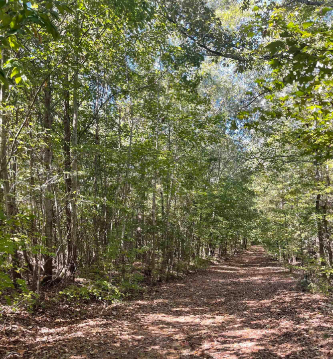 197 Meadow Green Ln, Woodruff, SC for sale Building Photo- Image 1 of 3