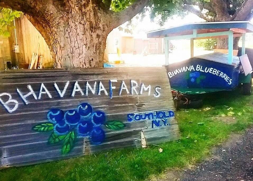 4395 Hortons Ln, Southold, NY 11971 Land for Sale