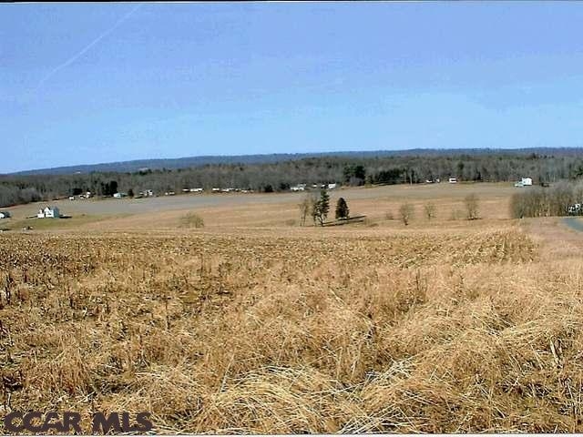 Dry Hollow Rd, Tyrone, PA for sale - Primary Photo - Image 1 of 1