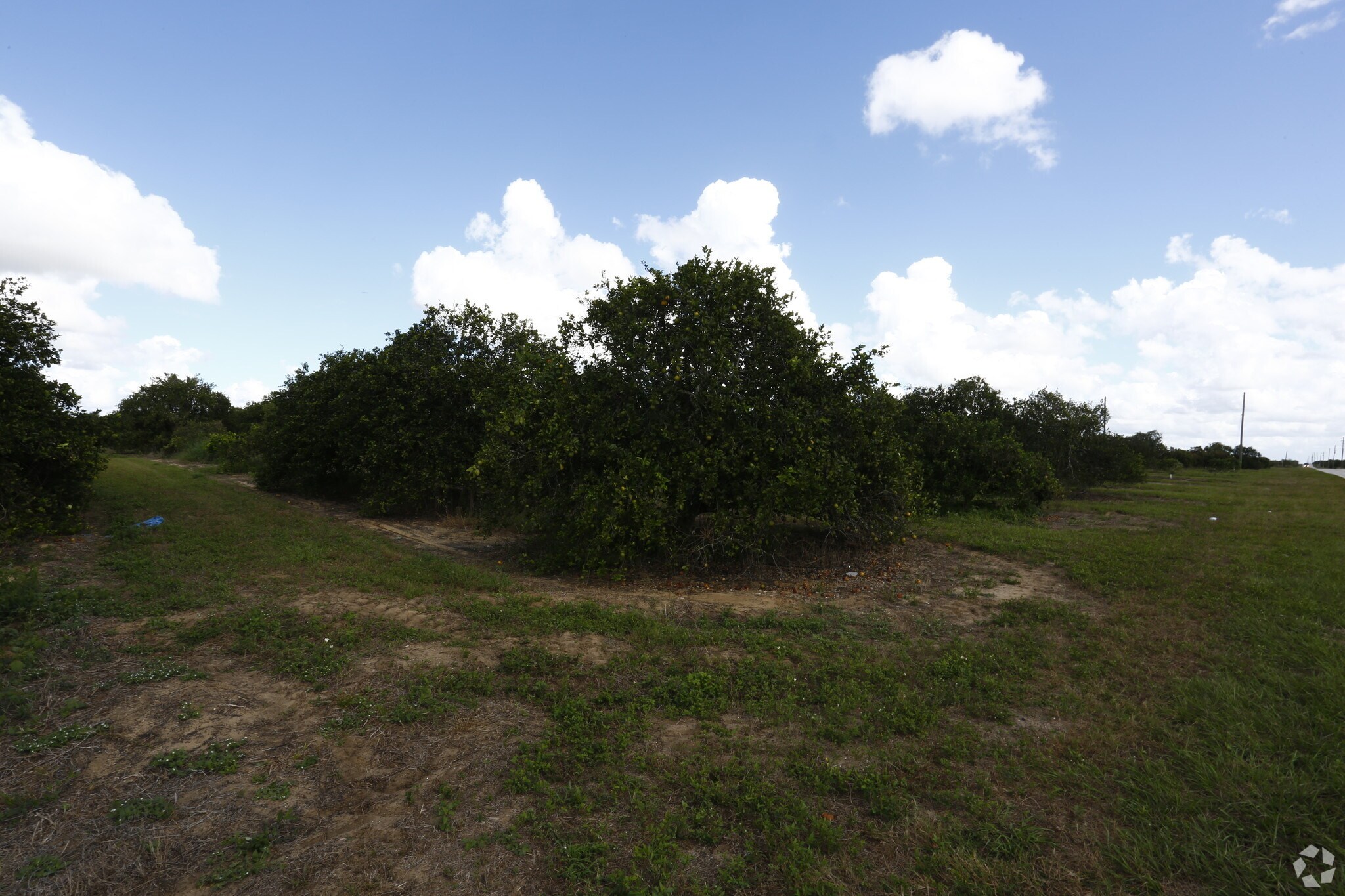 T S Wilson Rd, Frostproof, FL for sale Primary Photo- Image 1 of 1