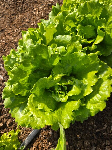 3526 Front St, Palisade, CO for sale - Building Photo - Image 3 of 11