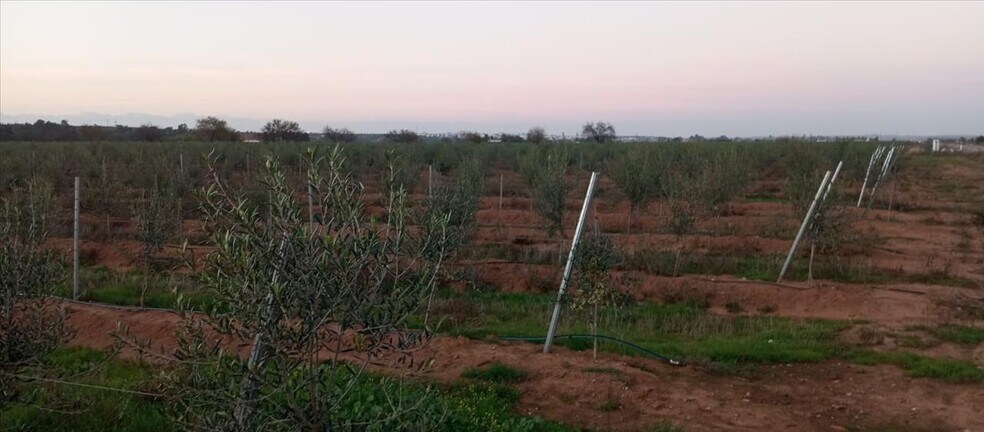 Land in Villalba de los Barros for sale - Building Photo - Image 2 of 10