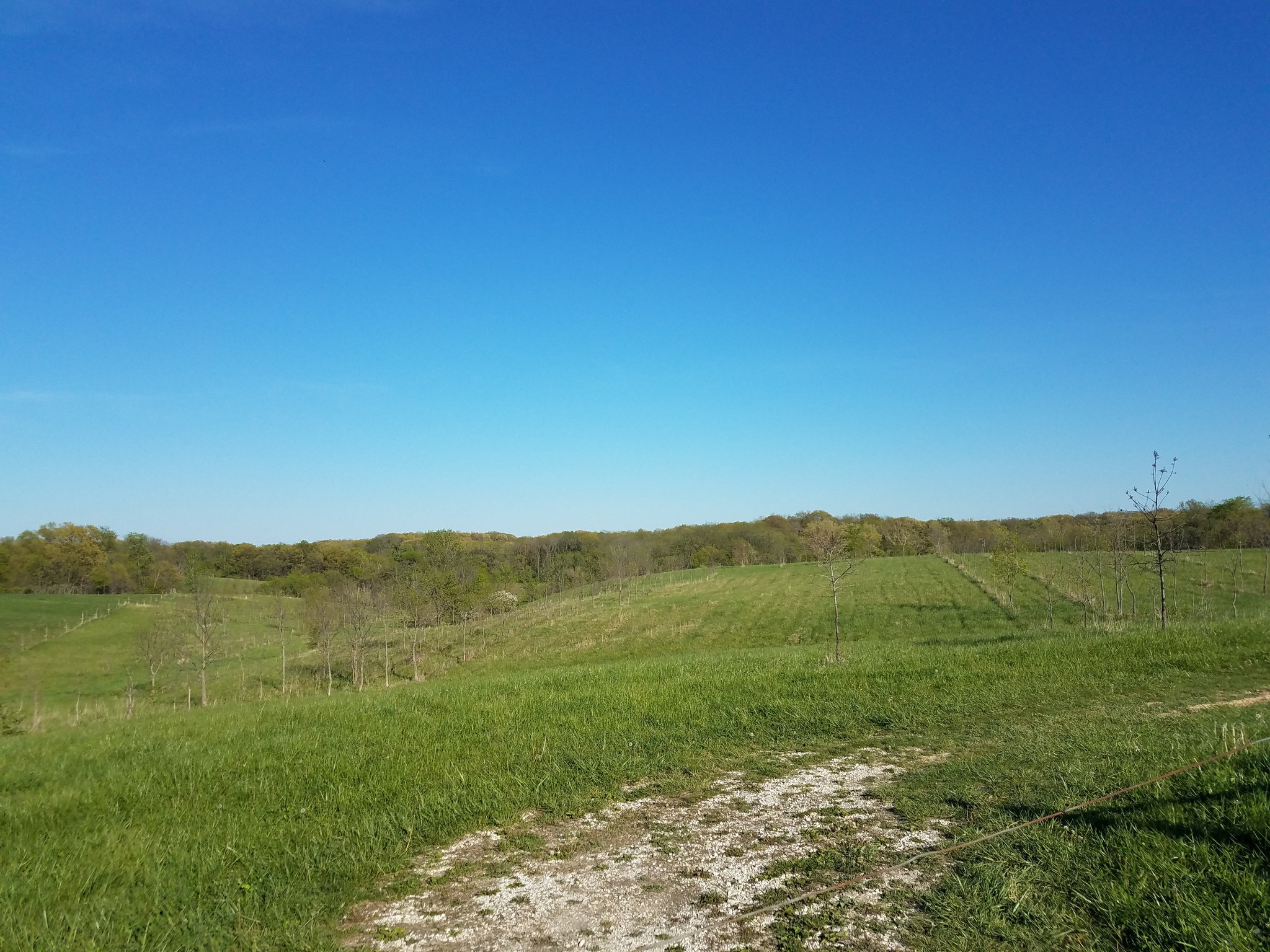 2000 E 1750th, Loraine, IL for sale Primary Photo- Image 1 of 1