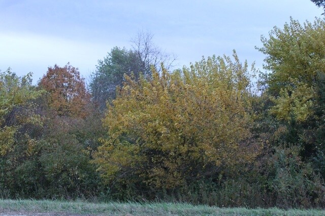 Lot 1 Fabyan, Elburn, IL for sale - Building Photo - Image 2 of 7