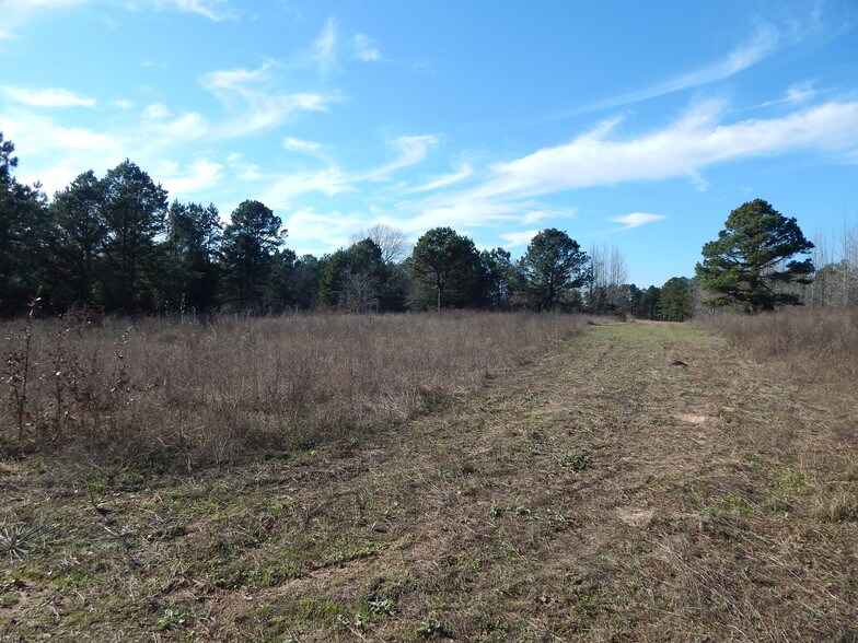296 Meadowlark Rd, Diana, TX for sale - Other - Image 1 of 1