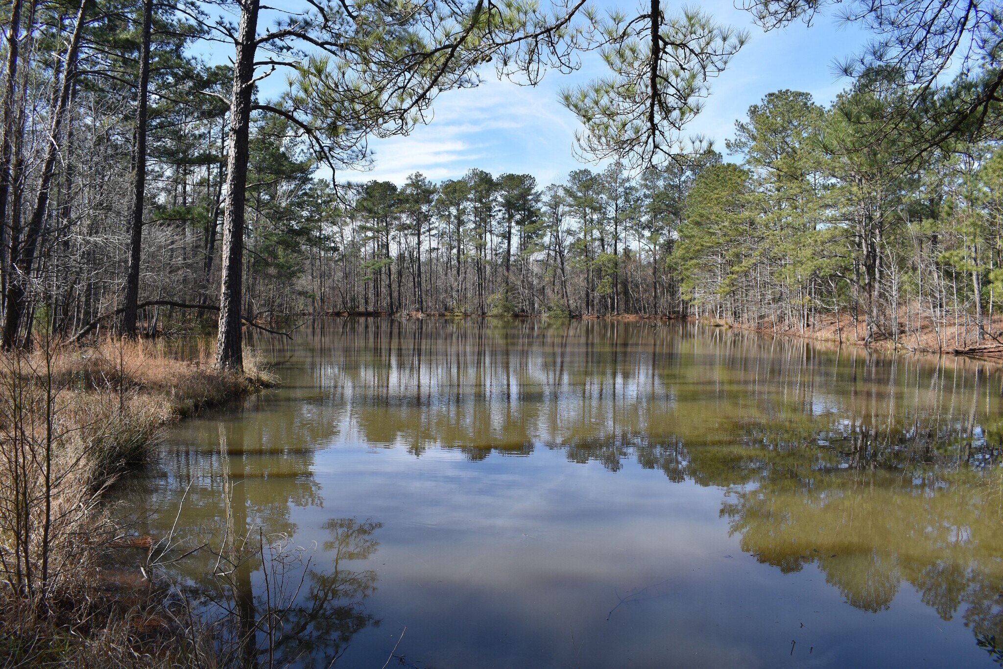 4101 Wooldridge Rd., Columbus, GA for sale Primary Photo- Image 1 of 1