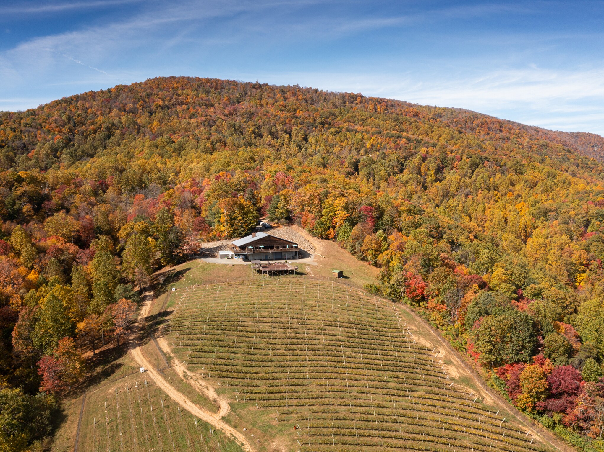 1376 Wyatt Mountain Rd, Dyke, VA 22935 Stone Mountain Vineyards