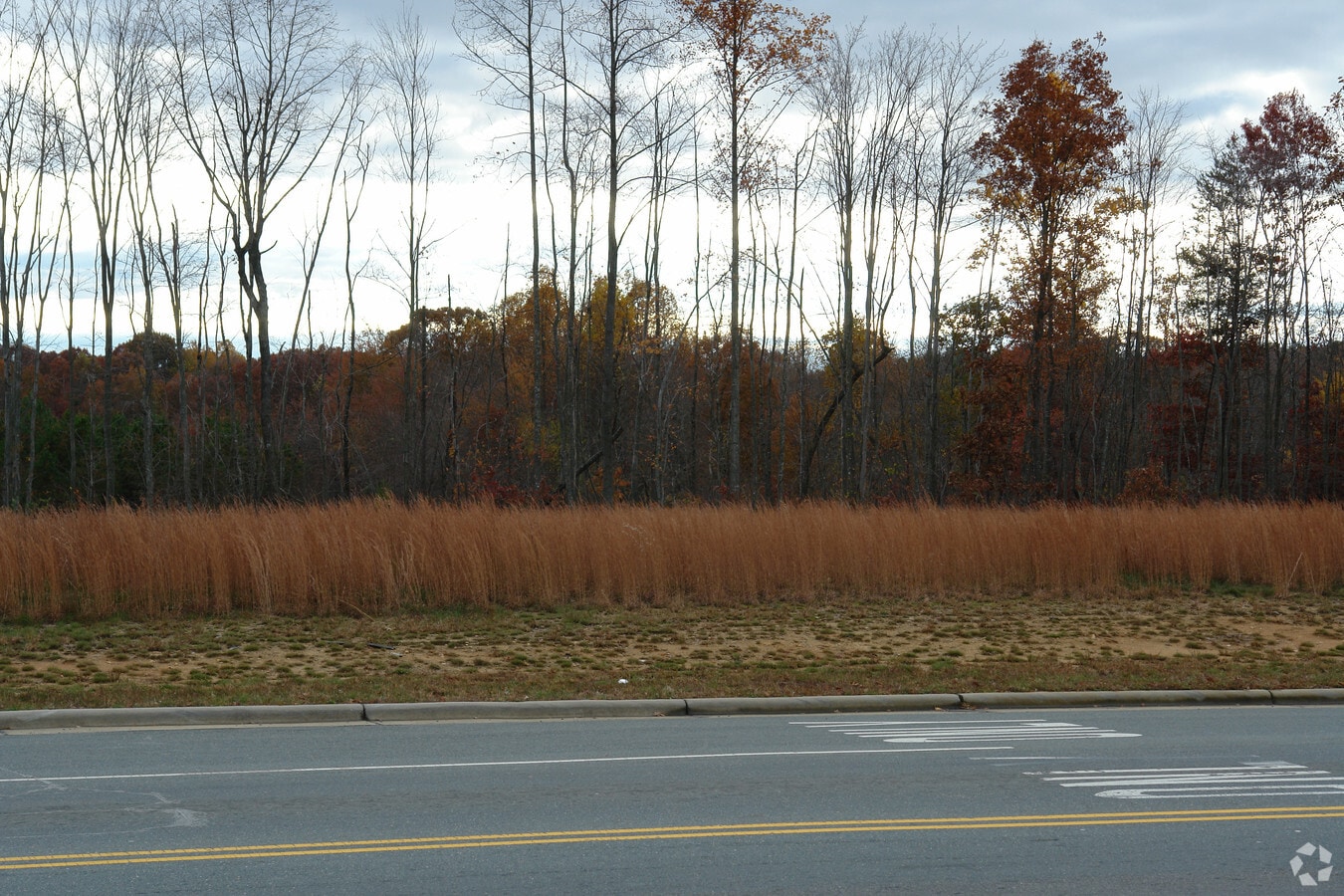 Newsome Rd, King, NC 27021