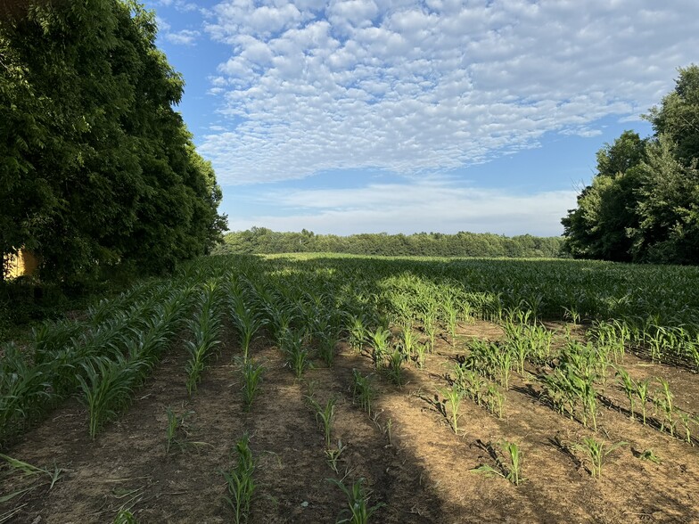 0 V/L Green St., Springport, MI for sale - Primary Photo - Image 1 of 19