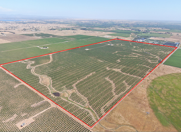 17105 E Liberty Rd, Clements, CA for sale - Primary Photo - Image 1 of 12