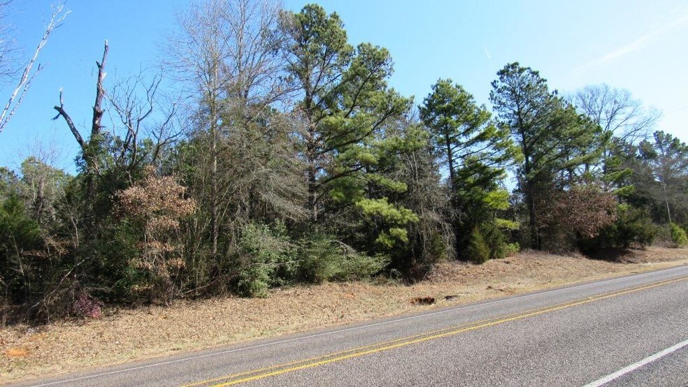 Highway 49, Jefferson, TX for sale - Other - Image 1 of 1