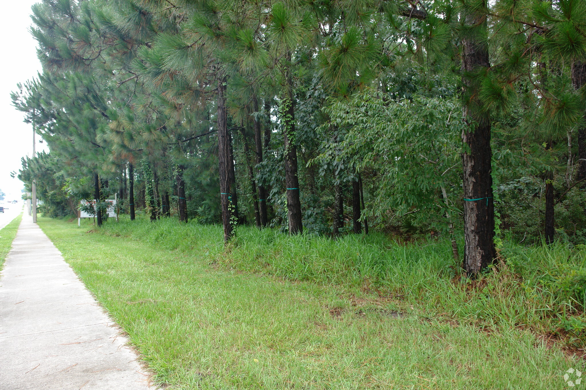 Kingsley Ave, Orange Park, FL for sale Primary Photo- Image 1 of 1