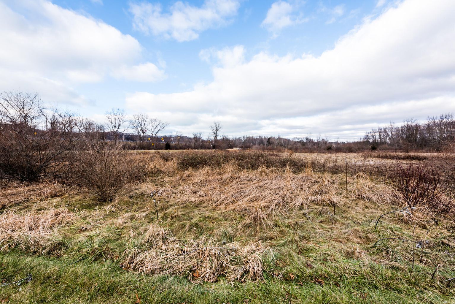 Parcel B Rambo Road, Bridgman, MI for sale Primary Photo- Image 1 of 11