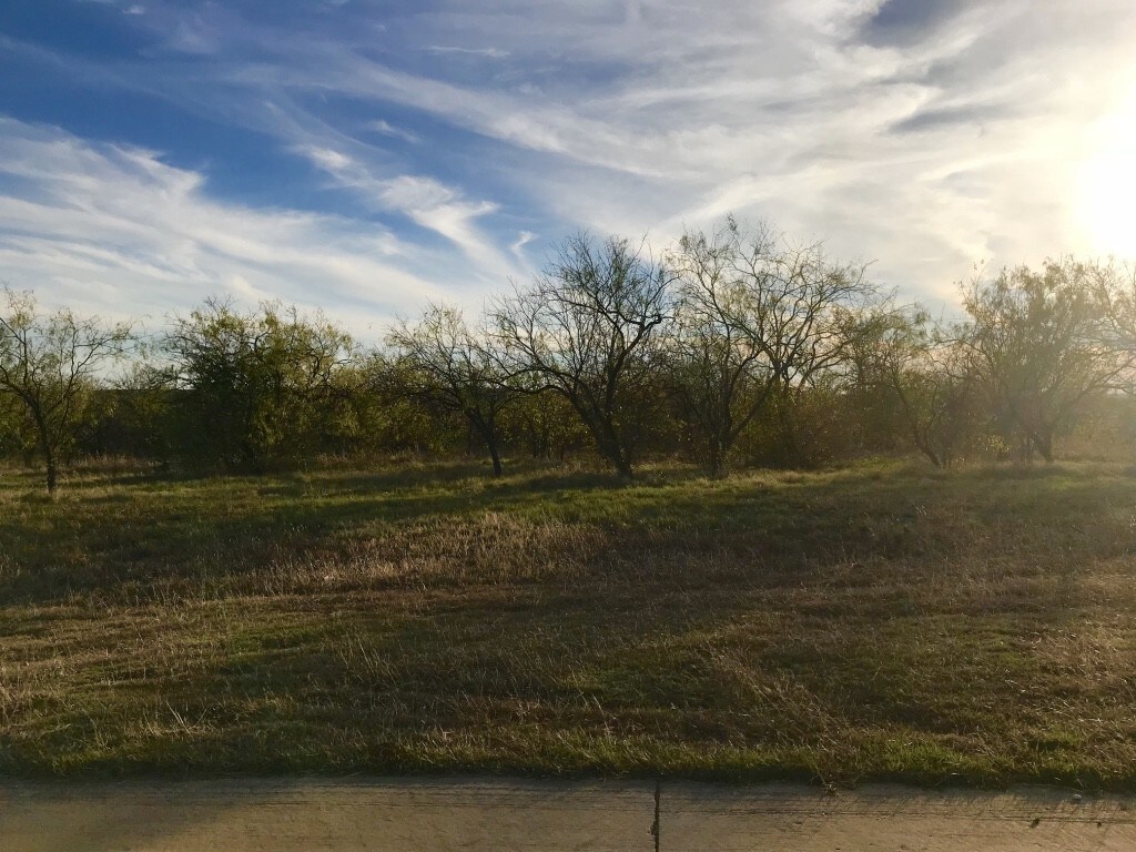 3147 Sanctuary Dr, Cedar Hill, TX for sale Other- Image 1 of 1