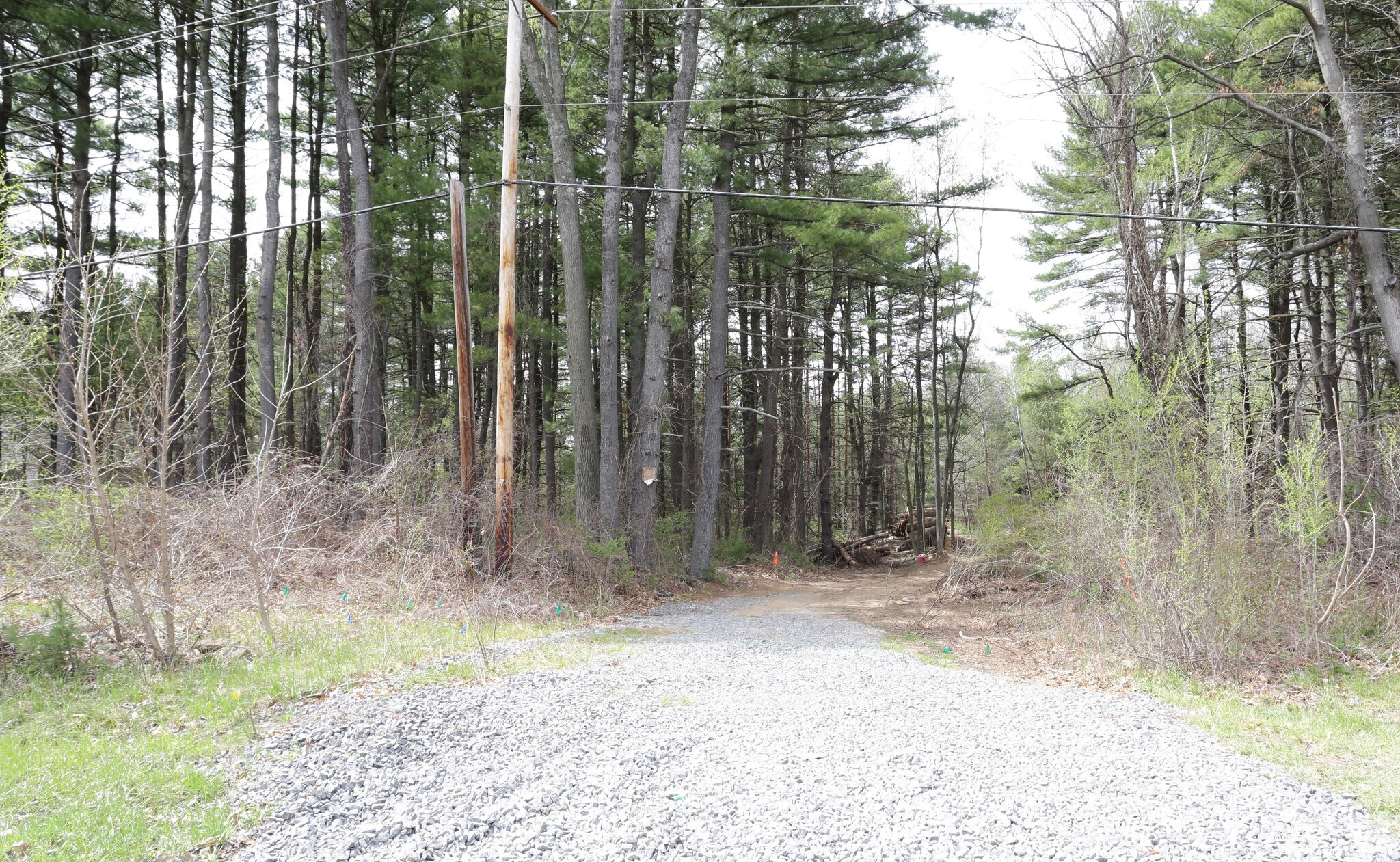 18 New Karner Rd, Albany, NY for sale Primary Photo- Image 1 of 1