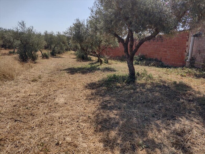 Land in Pilas for sale - Building Photo - Image 2 of 17