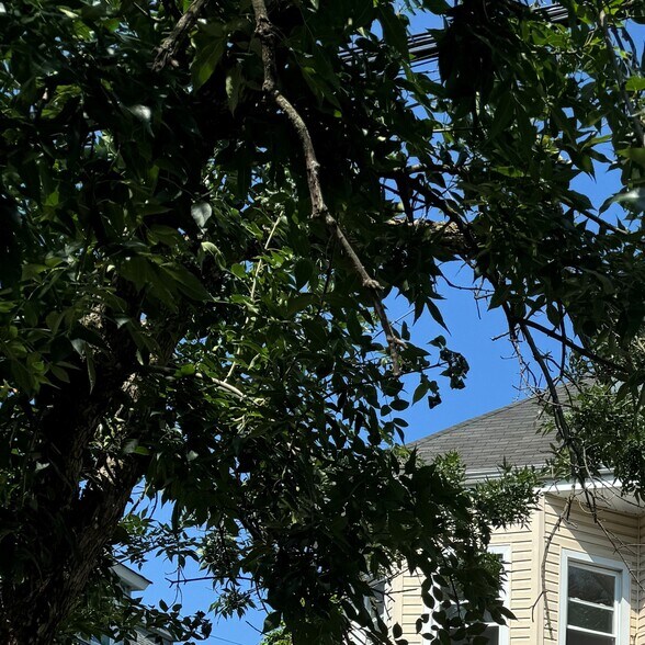 75 Baldwin Ave, Newark, NJ for sale - Building Photo - Image 2 of 7