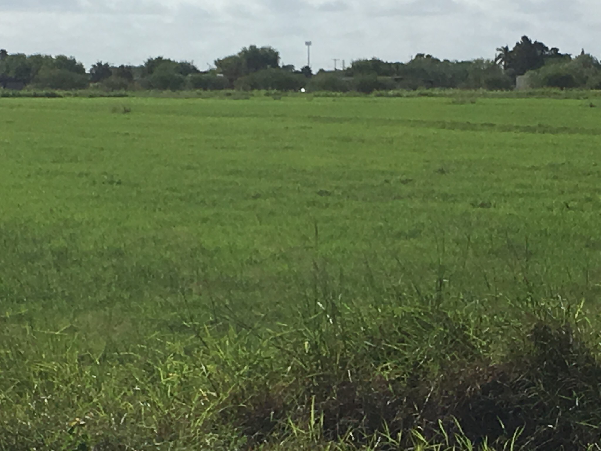 S Valley View Rd, Donna, TX for sale Primary Photo- Image 1 of 1