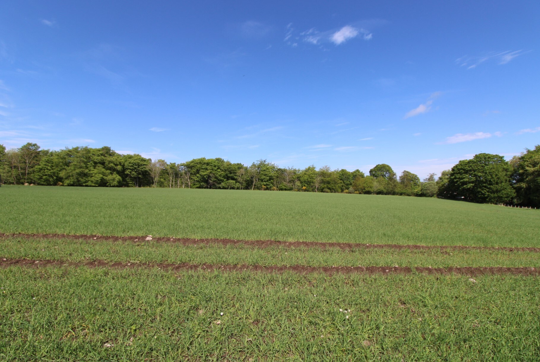 Drybridge, Drybridge for sale Building Photo- Image 1 of 3