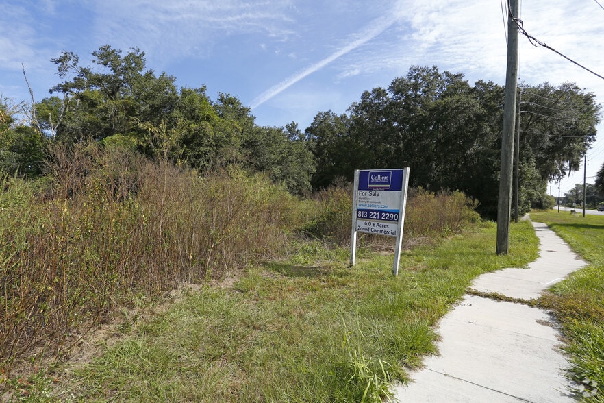 State Road 54, Zephyrhills, FL for sale - Primary Photo - Image 1 of 1